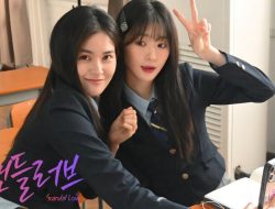 Scandal Love (2026) Sinopsis Drama Web Series Korea